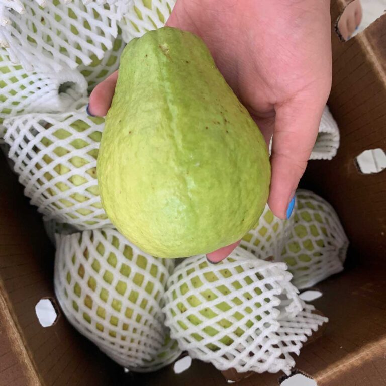 Guayaba